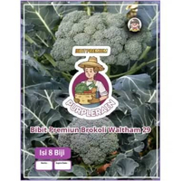 Bibit Premium Brokoli Waltham 29 | Benih Brokoli Waltham 29