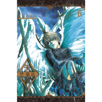 【momoBOOK】天使禁獵區 愛藏版  6(電子漫畫)