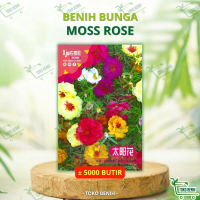 ± 5000 BUTIR BENIH IMPORT BUNGA MOSS ROSE / KROKOT MAWAR / MOSSROSE KEMASAN PABRIK