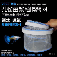 【全球優品滙】孵化密網 小魚繁殖盒 魚苗孵化盒 多功能隔離盒 孔雀魚孵化隔離盒 魚缸繁殖盒 隔離網密網 漂浮孵化網 小型