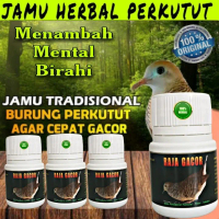 PIL PERKUTUT RAJA GACOR PREMIUM ISI 100 Pil perkutut malas bunyi anti stres raja herbal perkutut ban