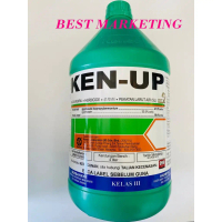 4LIT KEN UP KENSO / Rumput Rumpai