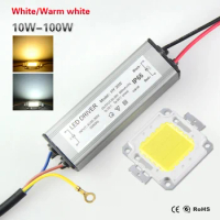 LED Chips 10W 20W 30W 50W 100W High Power COB LED lamp Chip Bulb with LED Driver For DIY Floodlight Spot light Lawn