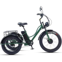 24 inch Adult Electric Tricycle Three wheelers Fat tire electric tricycle lithium electric