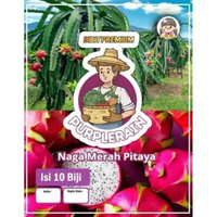 Bibit Premiun Buah Naga Merah Pitaya | Benih Buah Naga