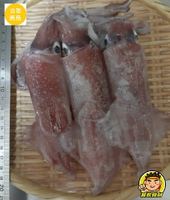 【蘭陽餐飲食材行】1盒是3~5隻裝 / 300g ~ 生小卷 生卷 盒卷 盒捲 海鮮 鮮魚 花枝 中卷 軟足類  ( 此為冷凍自取品號 )
