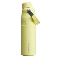 Stanley Iceflow Aerolight Fastflow Wb 16 24 oz botol minum tumbler stainless steel Pomelo 24 oz