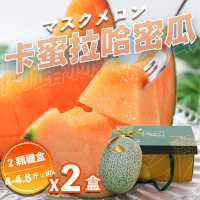 【果樹寶石】溫室卡蜜拉橘肉中顆哈密瓜2入禮盒x2盒（2-2.4斤/顆）(下單才採最新鮮 農場常溫直送)