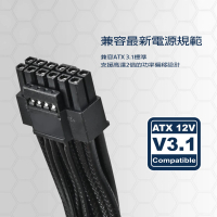 SilverStone 銀欣 Triton 650Rx(650W Cybenetics金牌認證電源供應器3年保固)