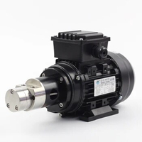 Max 4.5L/min Flow High Torque Small Size Direct Drive Gear Pump