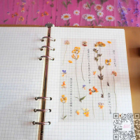 [1 Pcs/Pack] Sticker Yellow Flower Pet Aesthetic DIary Journal Deco
