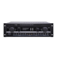 QSN hot sale professional power karaoke amplifier