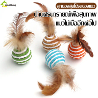ลูกบอล ของเล่นแมว ลูกบอลแมว ของเล่นสัตว์เลี้ยง แมว คลายเคลียด บอลเชือกถัก บอลล้มลุก ลูกบอลจิ๋ว มีเสี