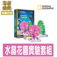 ⭐ National Geographic ⭐ 國家地理 紙樹開花-水晶花園實驗套組 水晶樹