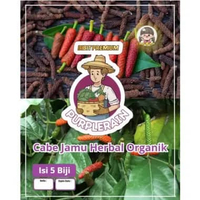Bibit Premium Cabe Jamu Herbal Organik | Biji Benih Cabe Jamu | Cabe Jawa
