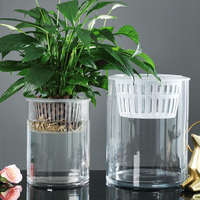 水培植物玻璃瓶子透明直筒圓柱形花瓶簡約綠蘿花盆白掌水養缸容器