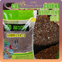 Cactus & Succulent Nutrient Soil Organic Succulent Potting Mix Garden Soil Succulent Cactus Stone Ta