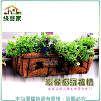 【綠藝家】2尺環保椰纖花槽(2尺陽台花架專用)