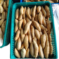 UBI MADU CILEMBU TELO MADU 1 KG MENTAH DIPANEN DARI BULUKERTO WONOGIRI  Food Kecombrang