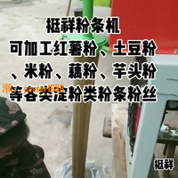 【台灣公司保固】紅薯粉條機全自動粉絲機商用家用米粉機做下壓漏打紅薯粉加工機械