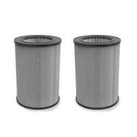 【Haier 海爾】AP500雙偵測空氣清淨機專用胺基酸醛效複合濾網兩入組(AP500F-01)