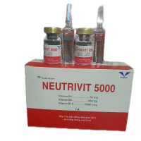 NEUTRIVIT 5000 - Vitamin B12 5000mcg, bột pha tiêm tăng nước mau cho gà, dung dịch tiêm 5ml, hộp 4 l