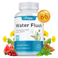 Pslalae - Kapsul Babi Air - 12 Bahan Aktif - Formula Termaju - Kesihatan Usus - Suplemen Diet - 60/1