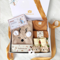 Haleysco Premium Hampers Bayi Newborn Laki-laki / Perempuan Kado Bayi Kado Lahiran Hampers Baby
