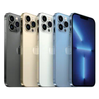 【Apple】A級福利品 iPhone 13 Pro Max 1TB 6.7吋(贈充電組+玻璃貼+保護殼)