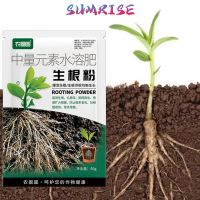 Root Rapid Growth Powder Serbuk Hormon Akar Perangsang Pertumbuhan Akar Tercepat Tanaman Sehat & Sub