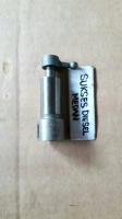 S195/1100 Plunger With Barel Plunyer DongFeng