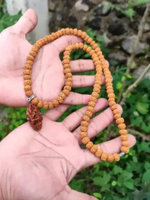 Kalung Rudraksha Bandul Liontin Rudraksha Jenitri Mukhi 2 Garis 2