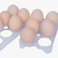 Refrigerator Egg Tray Practical Egg Storage Box Egg Storage Container #J