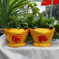 Thỏi Vàng Phúc Lộc, Heo Đất, Lợn Đất, Ống Heo Tiết Kiệm, Ống Heo Ống Tiết Kiệm hộp đựng tiền pokemon