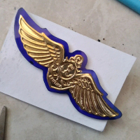wings nautika pelayaran