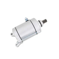 Motorcycle Engine Electric Starter Motor for 200cc 250cc Air-Cooled Dirt Bike Go Carts ATV Buggy TAOTAO