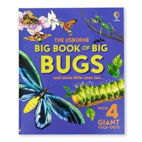 The Usborne Big Book of Big Bugs