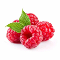 Biji benih tanaman raspberry - benih untuk tumbuhan