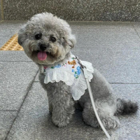 Cute Bear Pet Harness for Small Dogs Maltese Teddy Bichon INS Korea Dog Harness Vest Leash Set with Lace Edge Dog Accessories