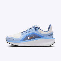 Nike W Air Winflo 11 GTX [FQ1359-002] 女 慢跑鞋 運動 路跑 防水 反光 白 藍