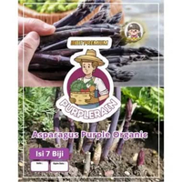 Bibit Pilihan Asparagus Ungu Organic | Biji Benih Asparagus Ungu | Asparagus Ungu