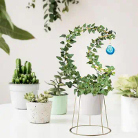 Useful Sturdy Metal Green Plant Hoya Vine Pothos Ivy Philodendron Climbing Stand Lightweight Flower Climber Holder for Farm