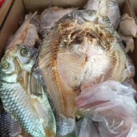 ikan asin tawes kering segar Food ikan