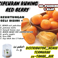 BENIH CIPLUKAN SUPER jumbo