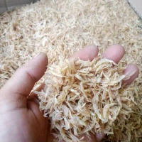 udang rebon ebi kering tawar