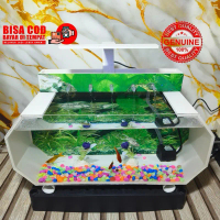 AQUARIUM AKRILIK UKURAN 40CM x 17CM x 15CM FULLSET DAN LAMPU LED BIKIN SUASANA LEBIH INDAH DAN AESTH