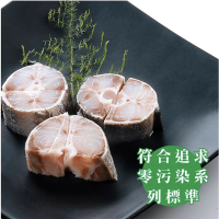 【江醫師健康鋪子】海鱺切塊5包組(200g/包)