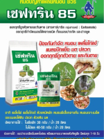 เซฟทริน85 (คาร์บาริล) #ตราปีศาจ ป้องกันกำจัดแมลงปากกัดและปากดูด ออกฤทธิ์ถูกตัวตายและกินตาย 100กรัม