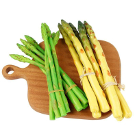 仿真蘆筍模型假竹筍水果蔬菜家居櫥柜裝飾軟擺設綠色拍攝食品道具【仿真菜】【仿真模型】【仿真食品】
