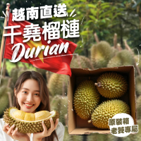 預購 果樹寶石 越南干堯榴槤原裝箱x1箱（3-4顆/箱）(來自湄公河的黃金果王 榴槤控必嚐的經典之選)